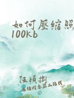 如何压缩照片到100kb