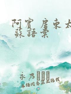 阿宾 房东太太 苏语棠