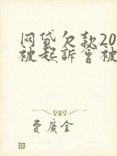 网贷欠款20万被起诉会被判几年