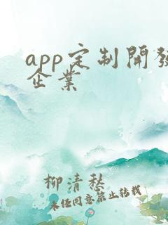 app定制开发企业
