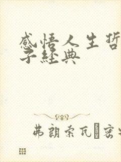 感悟人生哲理句子经典