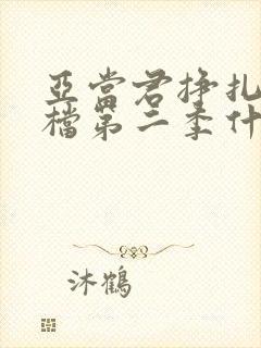 亚当君挣扎吧接档第二季什么时候出