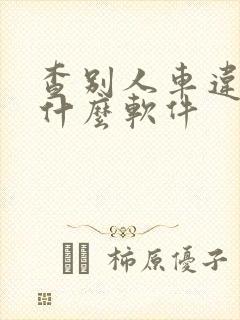 查别人车违章用什么软件