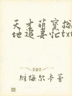 天才萌宝总裁爹地追妻忙txt