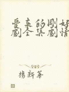 爱来的刚好电视剧全集剧情介绍