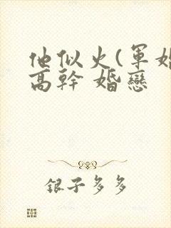他似火(军婚 高干 婚恋