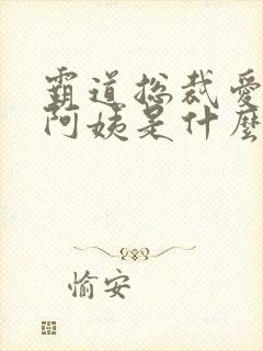 霸道总裁爱上老阿姨是什么电视剧