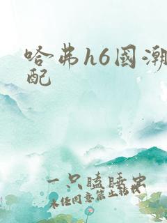 哈弗h6国潮低配