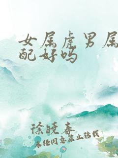 女属虎男属鼠婚配好吗