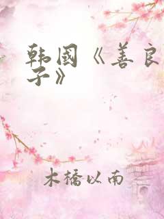 韩国《善良的妻子》