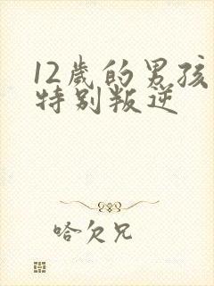 12岁的男孩子特别叛逆