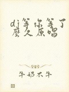 dj等你等了那么久原唱