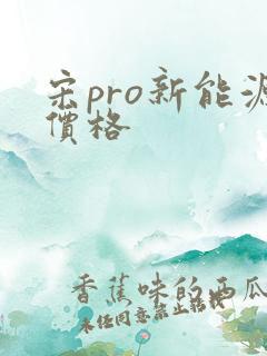 宋pro新能源价格