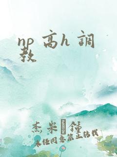 np 高h 调教