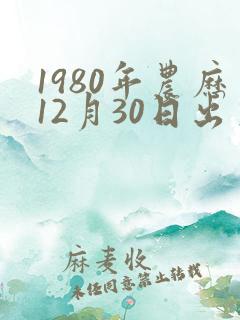 1980年农历12月30日出生八字