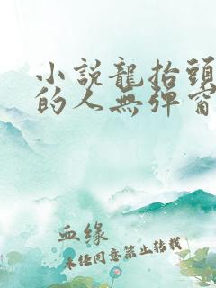 小说龙抬头抚琴的人无弹窗
