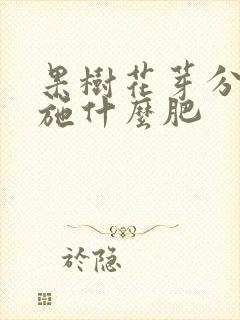 果树花芽分化期施什么肥
