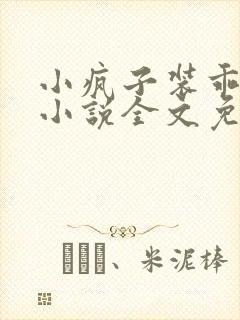 小疯子装乖指南小说全文免费阅读