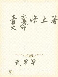青鸾峰上著无敌天命