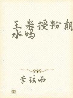 玉米授粉期能浇水吗