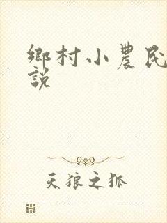 乡村小农民的小说