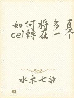 如何将多页excel转在一个pdf文件