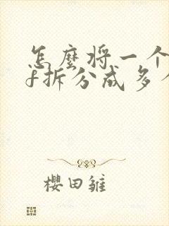 怎么将一个pdf拆分成多个