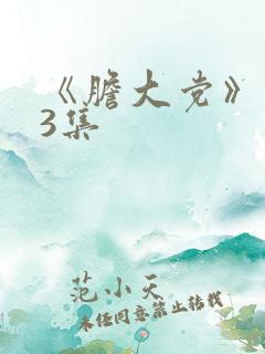 《胆大党》第13集
