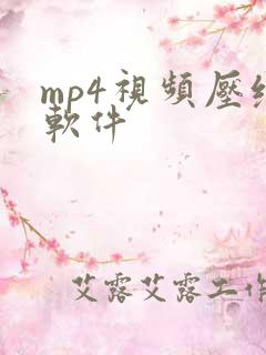 mp4视频压缩软件
