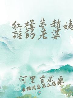 红楼梦赵姨娘是谁的老婆