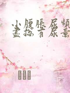 小腹胀尿频尿不尽总有尿意