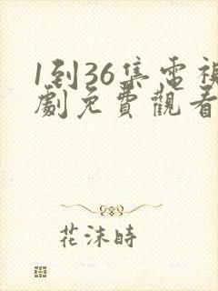 1到36集电视剧免费观看35集