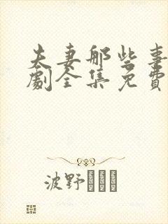 夫妻那些事电视剧全集免费观看
