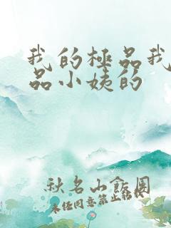 我的极品我的极品小姨的