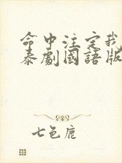 命中注定我爱你泰剧国语版