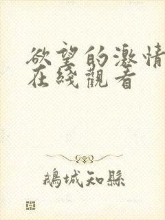 欲望的激情午夜在线观看
