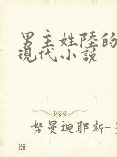 男主姓陆的全部现代小说