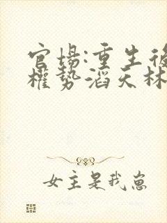 官场:重生后我权势滔天林峰小说