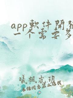 app软件开发一个需要多少钱
