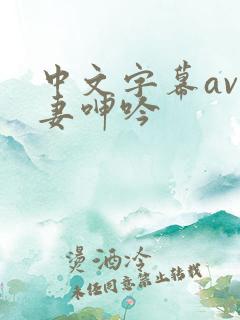 中文字幕av人妻呻吟