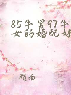 85牛男97牛女的婚配好吗