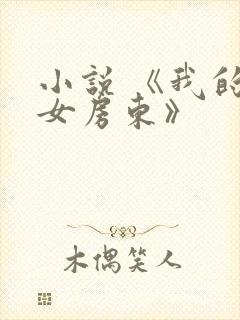小说 《我的美女房东》