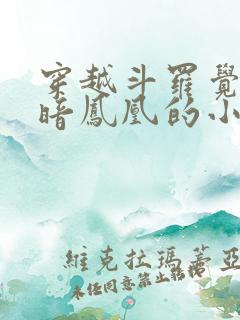 穿越斗罗觉醒黑暗凤凰的小说