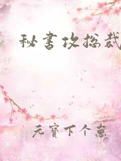 秘书攻总裁受