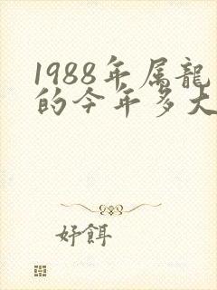 1988年属龙的今年多大了