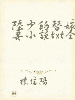 陆少的替嫁小娇妻小说txt全文下载