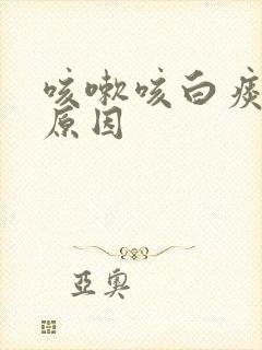 咳嗽咳白痰什么原因