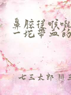 鼻腔从喉咙吐出一坨带血的痰