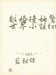 离婚后她惊艳了世界小说txt