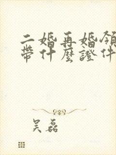 二婚再婚领证要带什么证件
